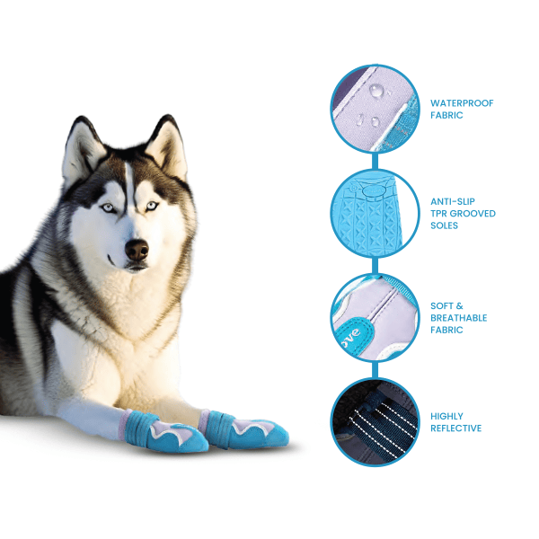Barkbutler Truelove water resistance dog shoes with TPR Sole - Algiers Blue-Lavender
