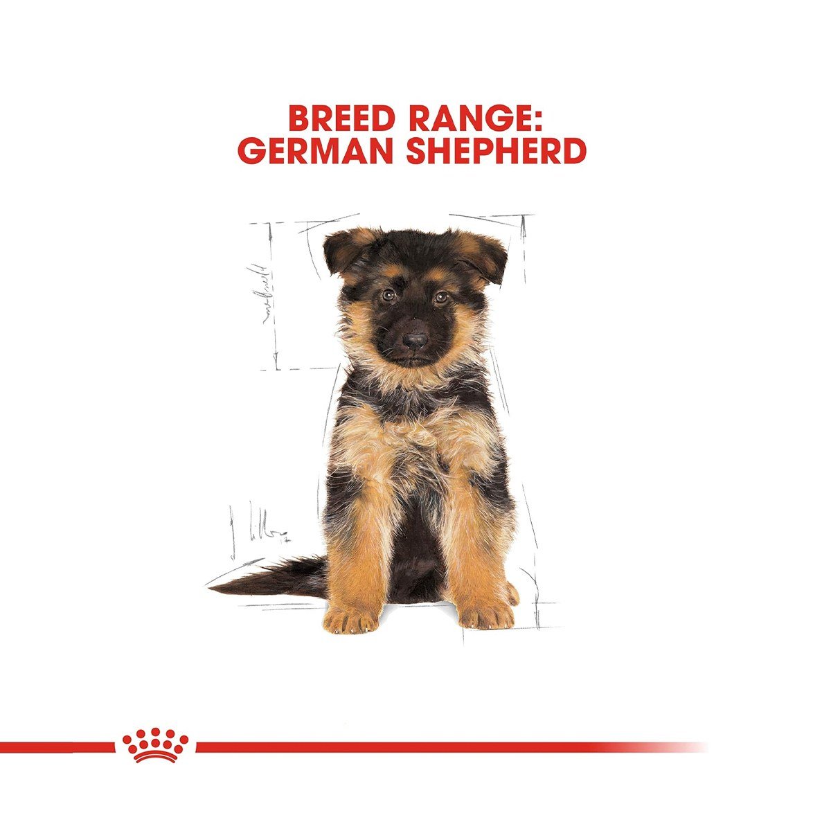 Royal Canin German Shepherd Puppy Dry Dog Food