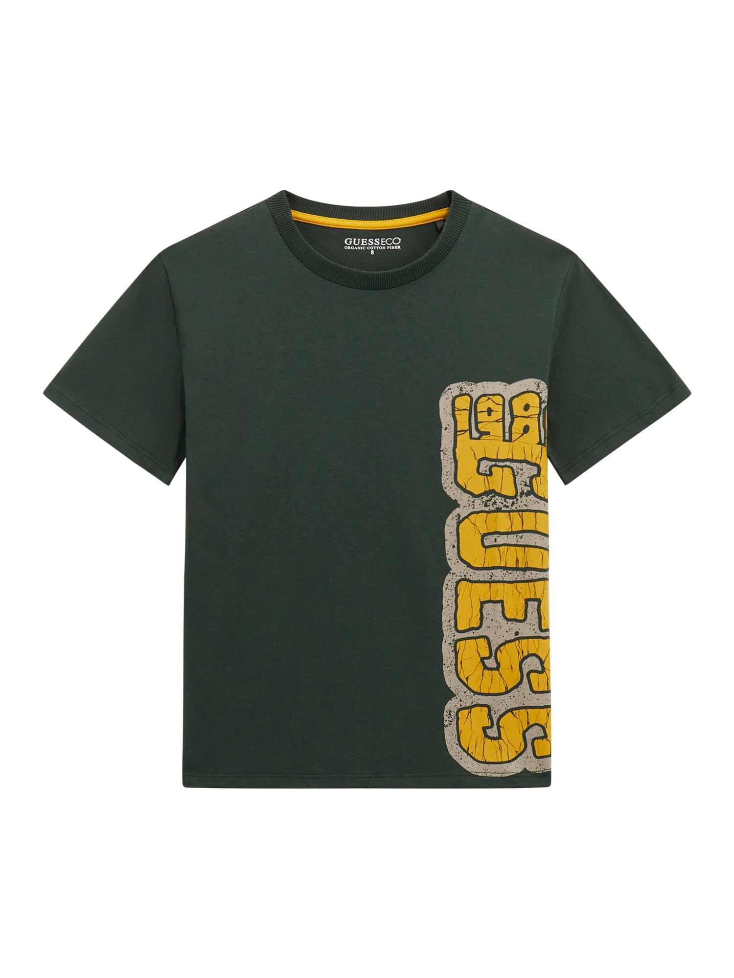 Guess Boys Jungle Green Logo Regular Fit T-Shirt