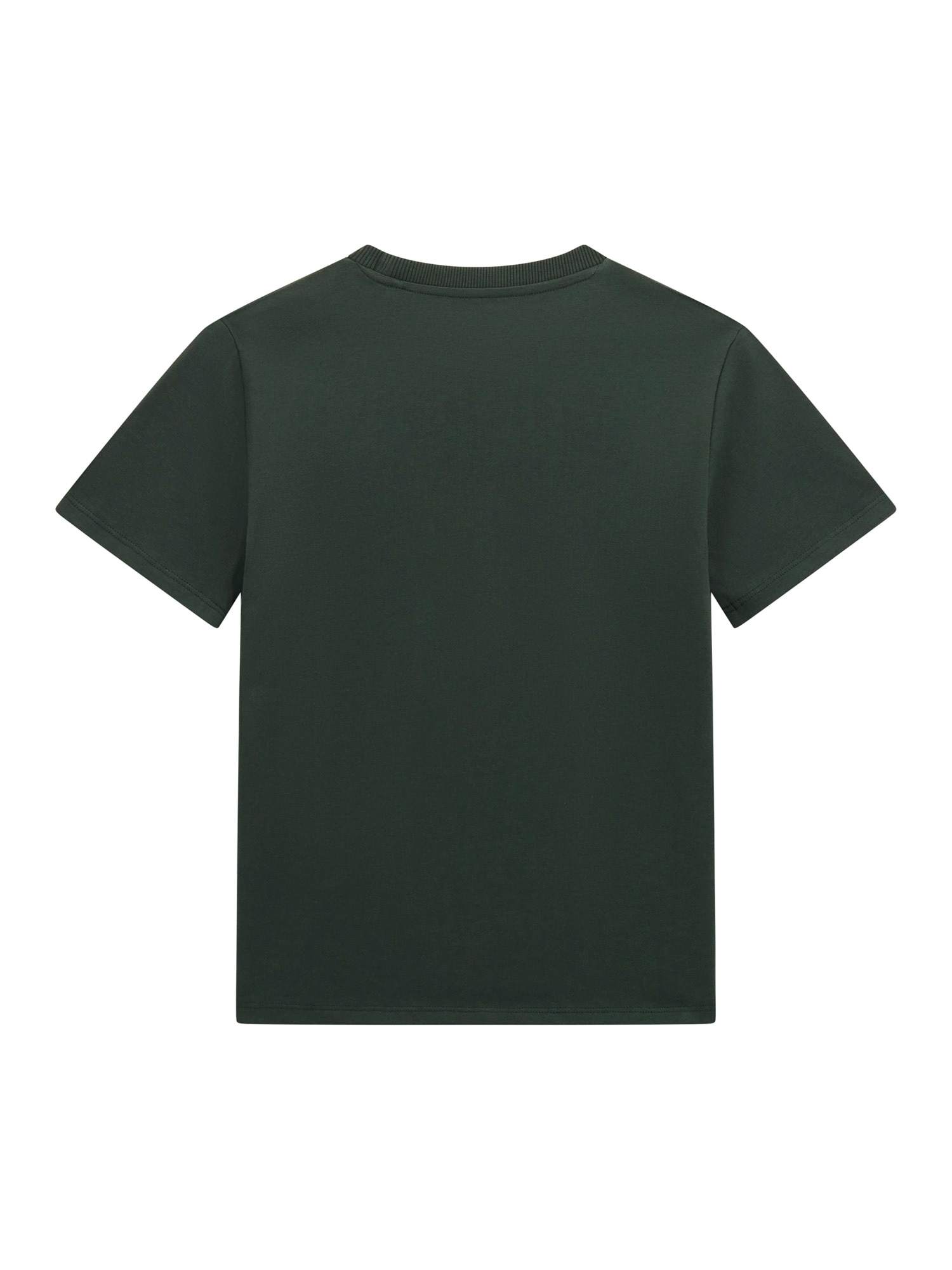 Guess Boys Jungle Green Logo Regular Fit T-Shirt
