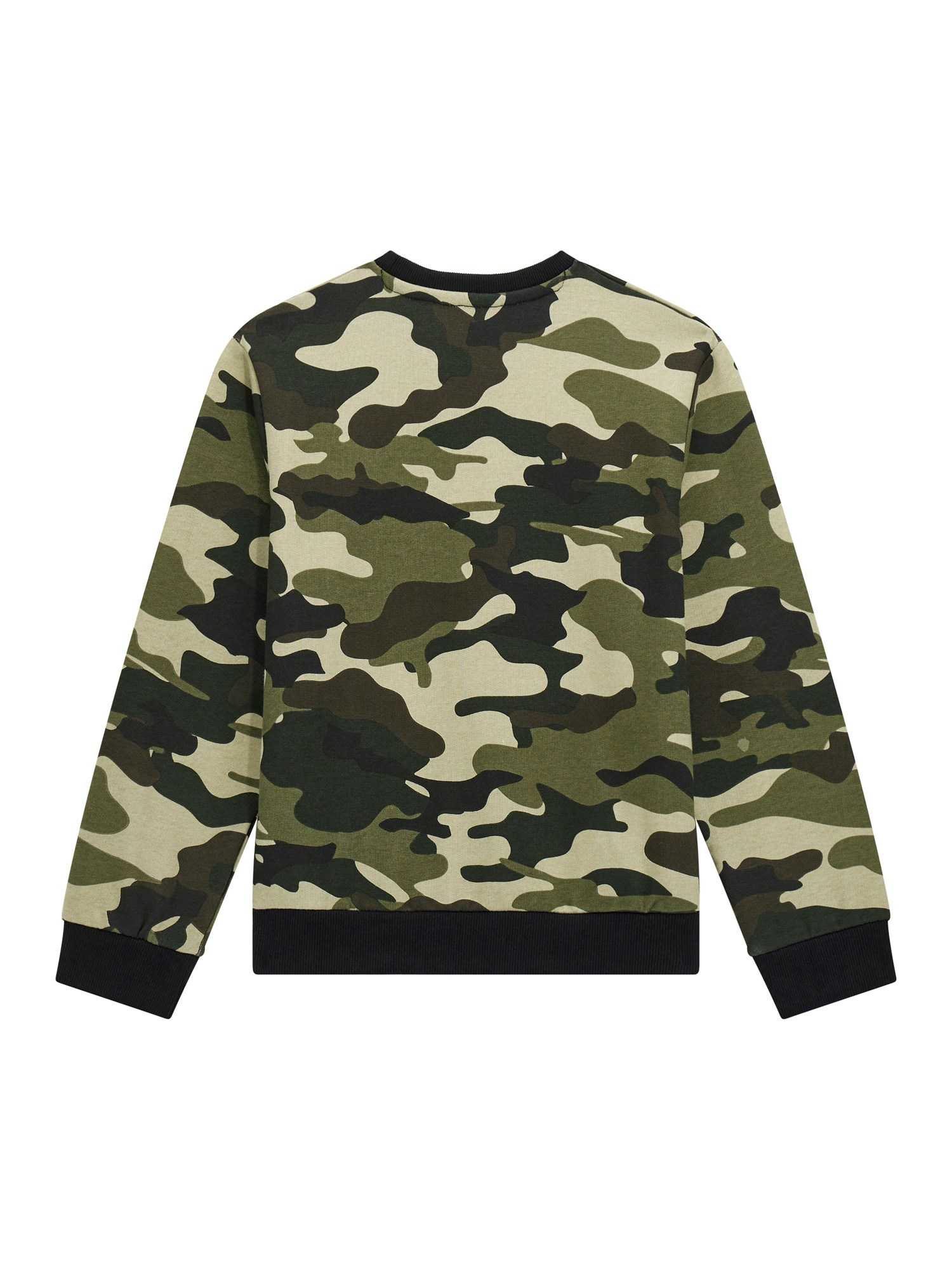 Guess Boys Multicolour Printed Regular Fit Sweatshirt