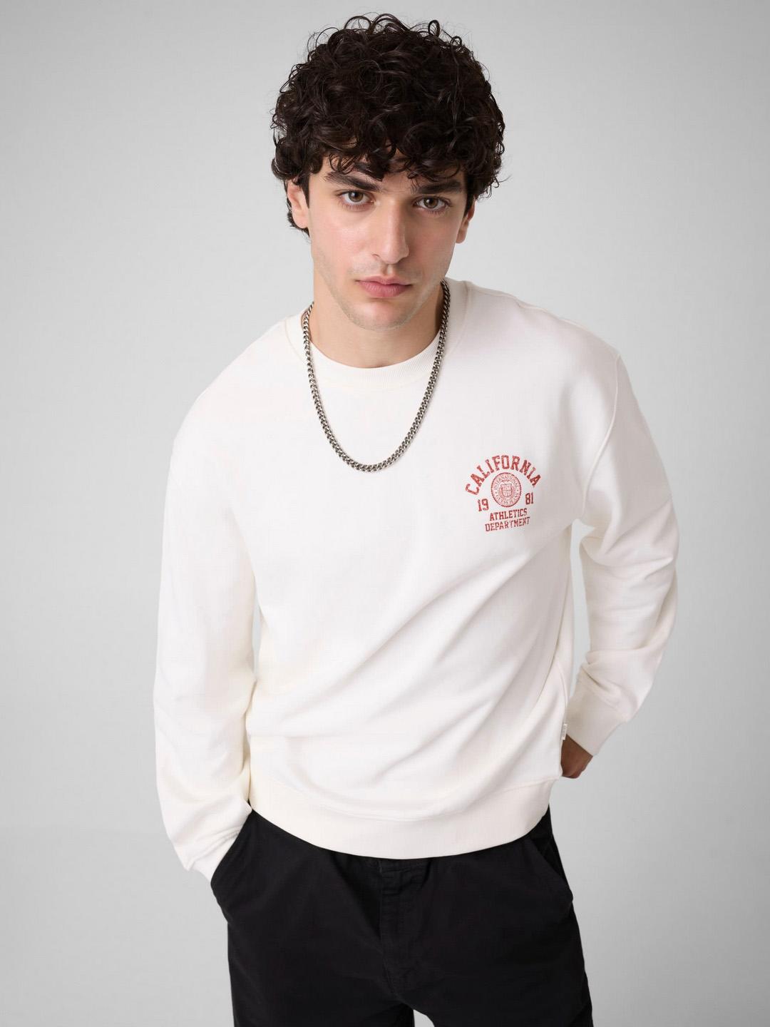 Regular Fit Round Neck Solid Pullover Sweatshirt
