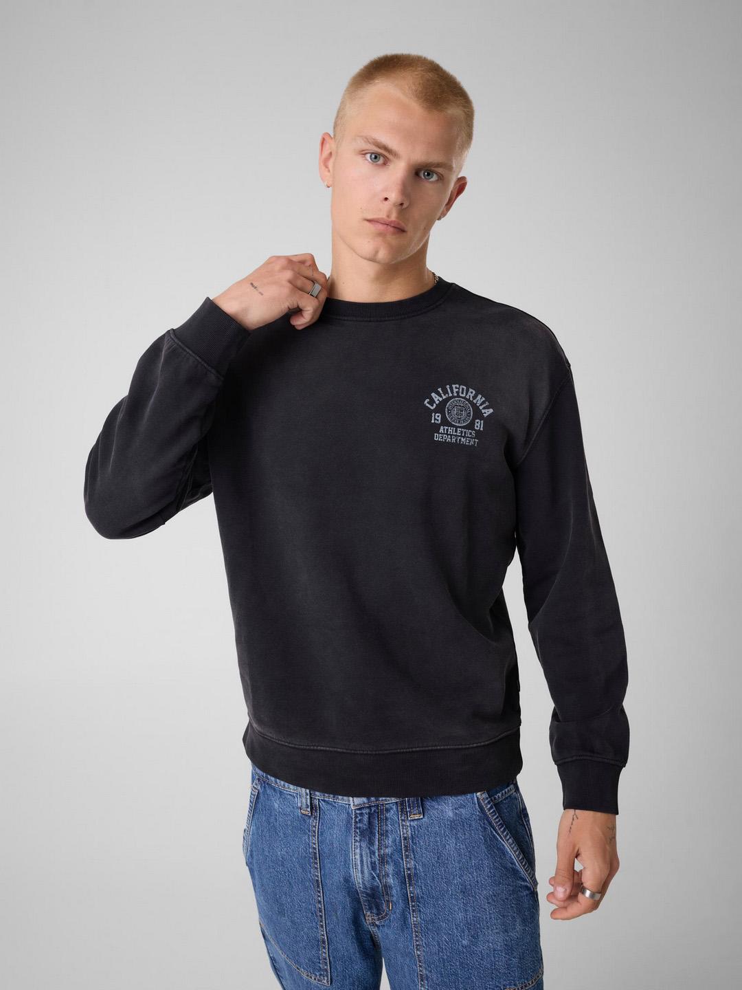 Regular Fit Round Neck Solid Pullover Sweatshirt