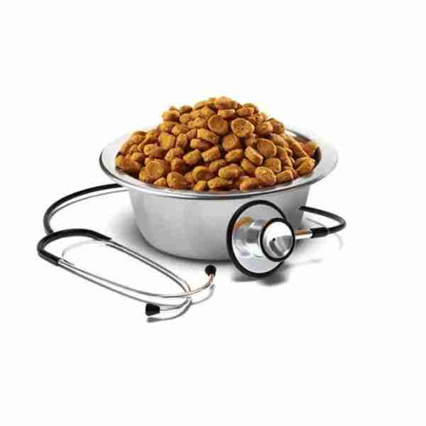 Farmina Vet Life Diabetic Dry Dog Food