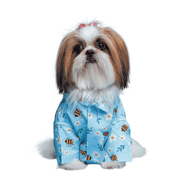 Ezra. | Ezra Polyester Blend Dog Shirt - Honey Bee