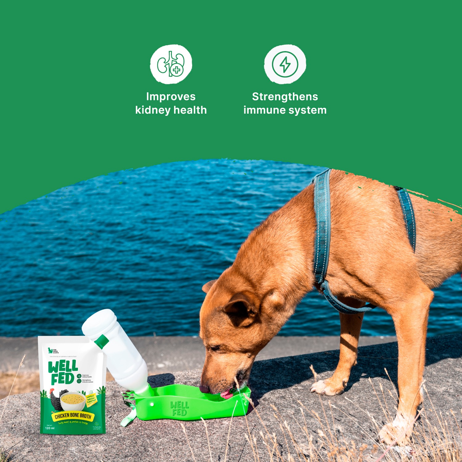 Well Fed Chicken Bone Broth, 120 ml