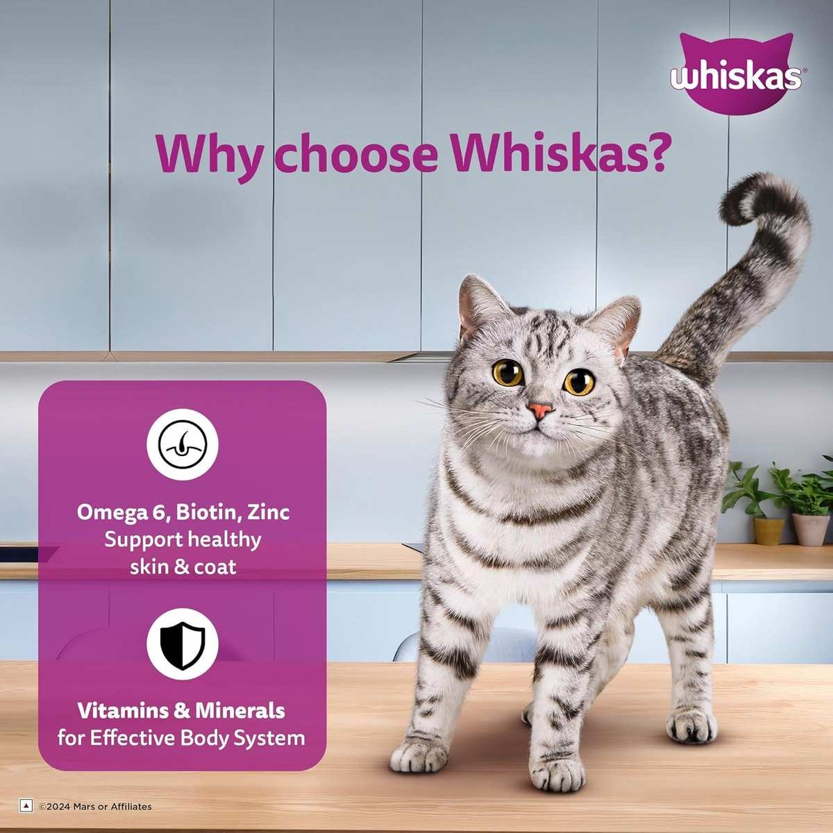 Whiskas Tune & White Fish in Jelly Wet Cat (1+ year) Food, 80g