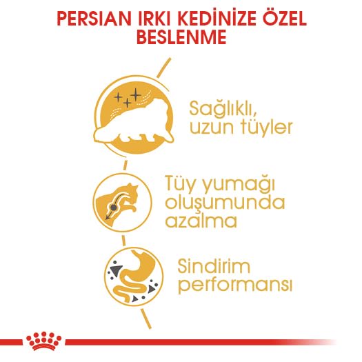 Royal Canin Persian Adult Dry Cat Food