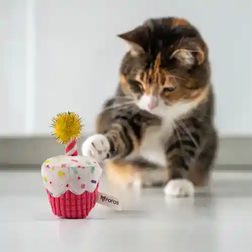 Barkbutler | Barkbutler Fofos Birthday Cake Toy for Cats