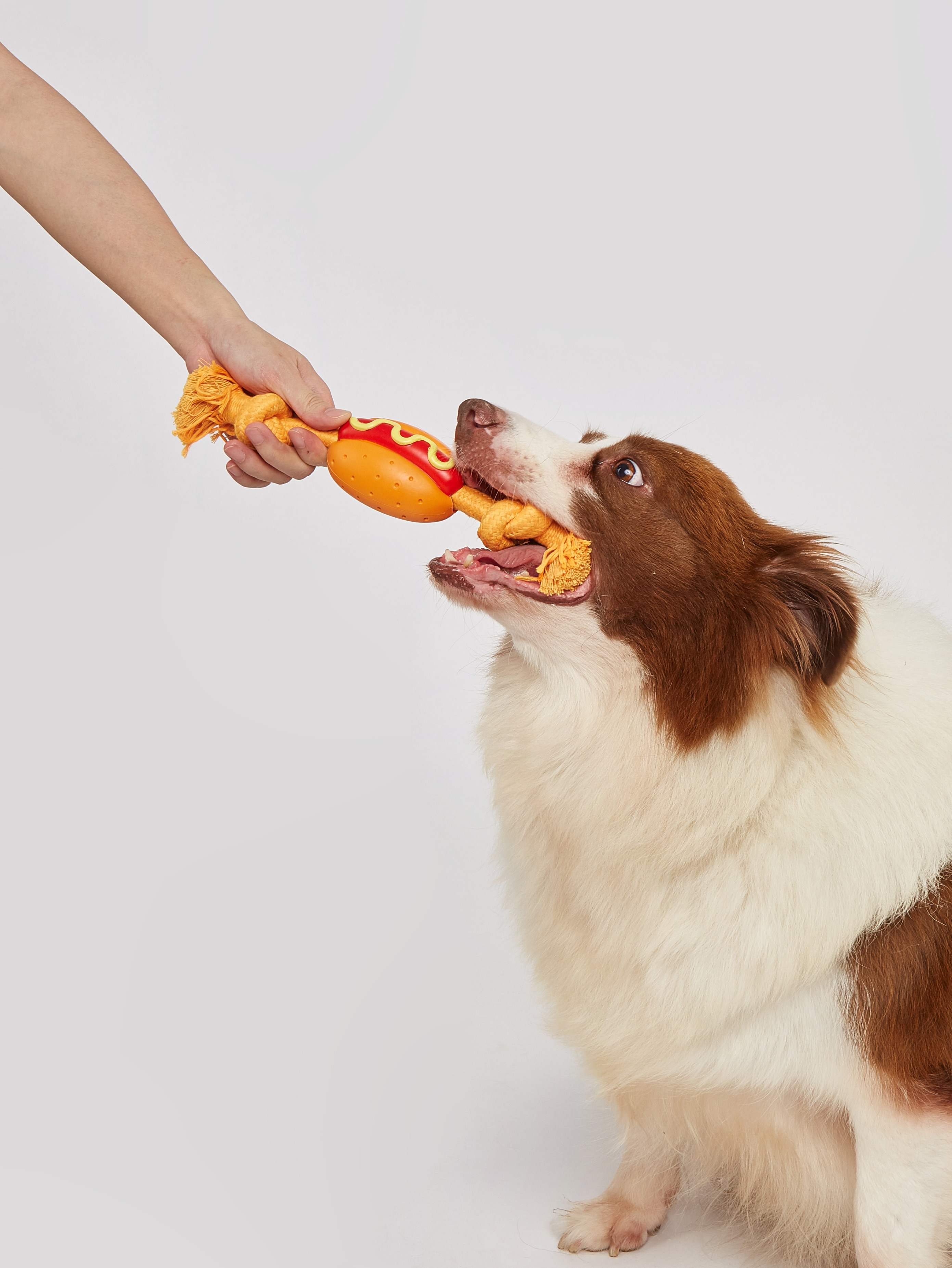 Fofos Dog Chew Rope Toy Hot Dog