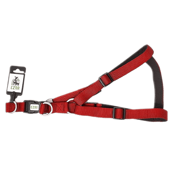 Ezra 2.54 cm Double Thick Harness