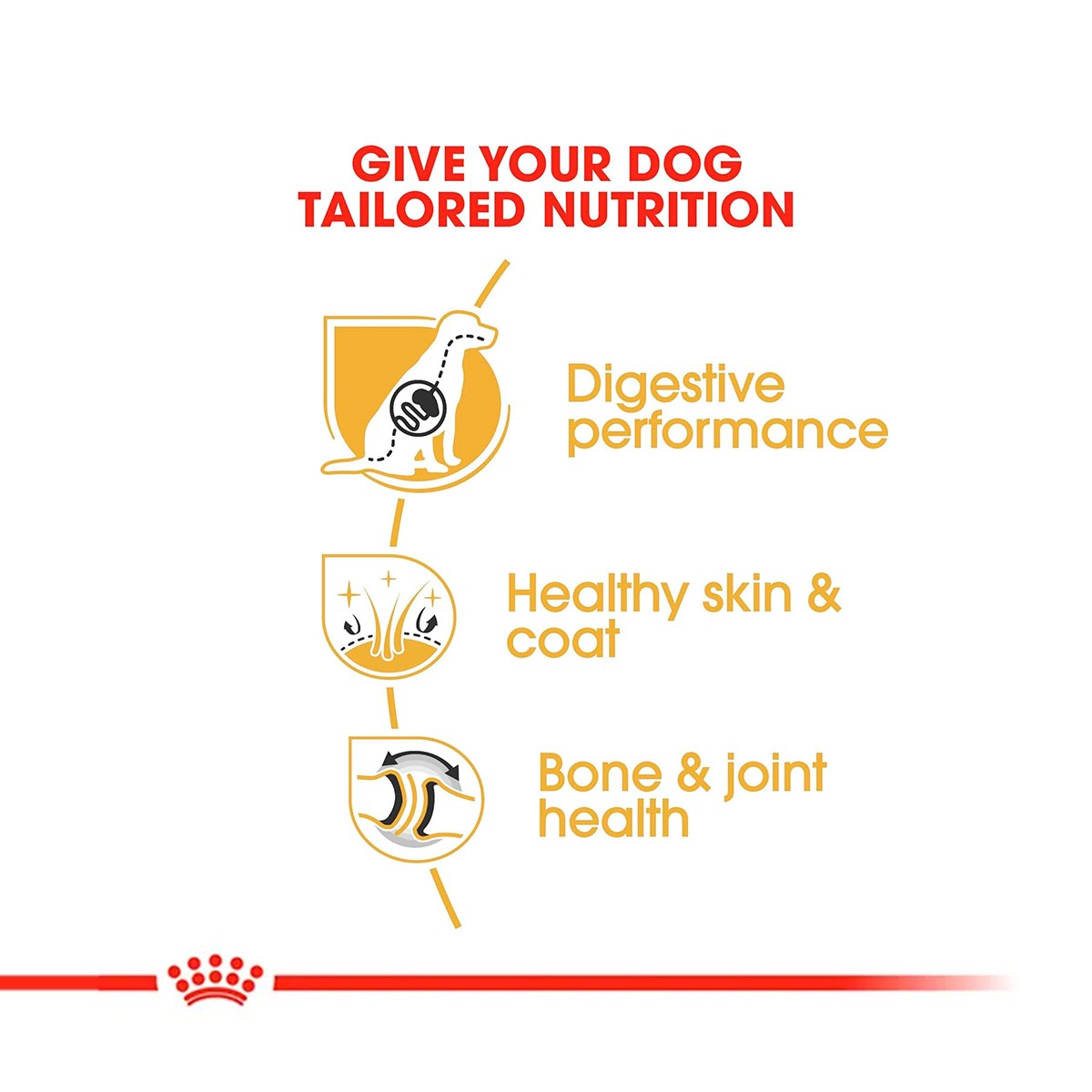 Royal Canin German Shepherd Adult Dry Dog Food