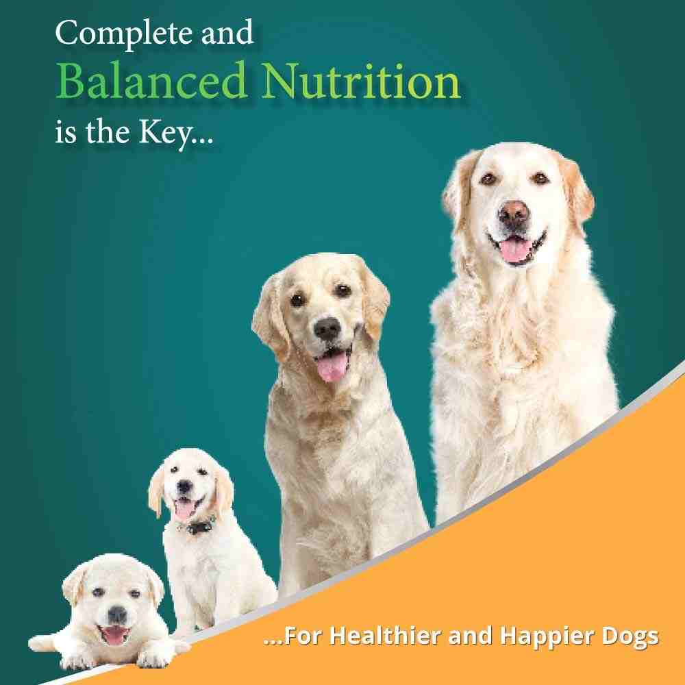 Himalaya Meat and Rice Adult Dry Dog Food