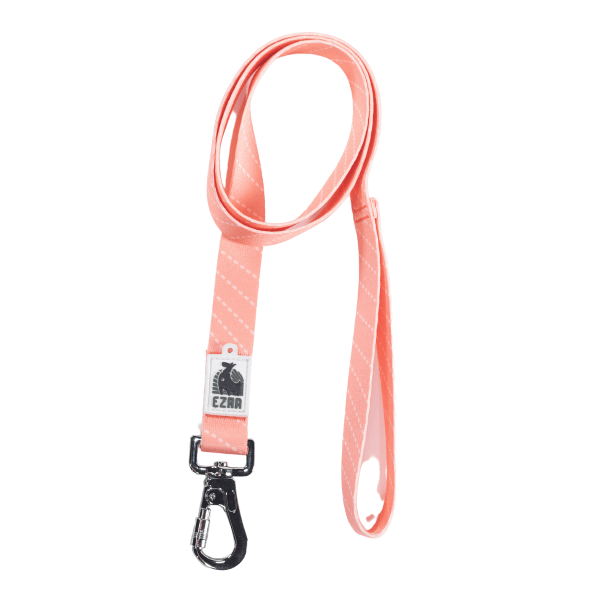 Ezra Digital Print Dog Leash - Assorted