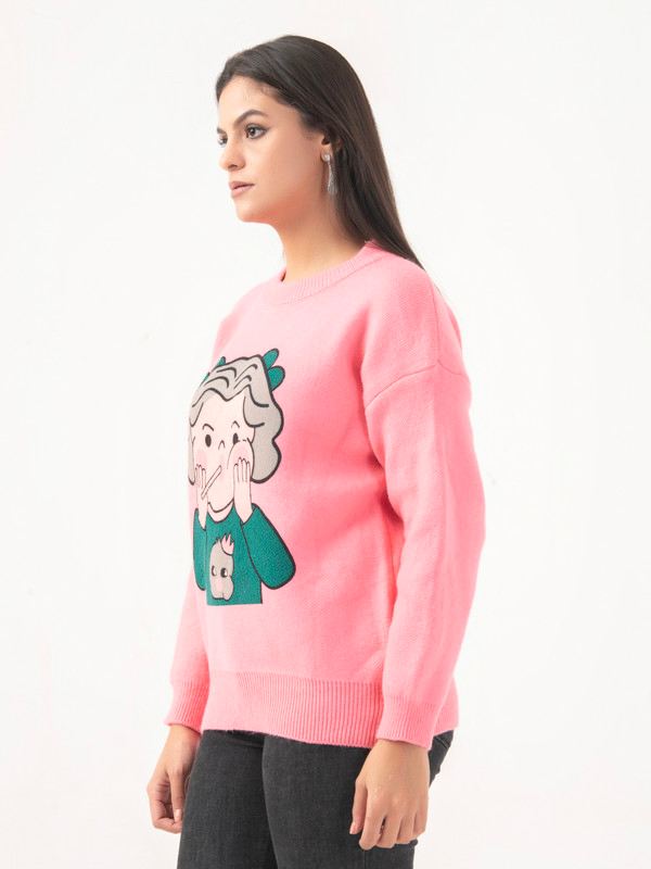 Albion Women Winter Pink Sweaters