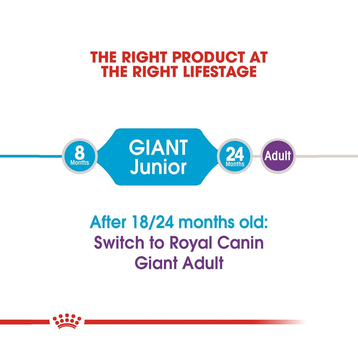 Royal Canin Giant Junior Dry Dog Food