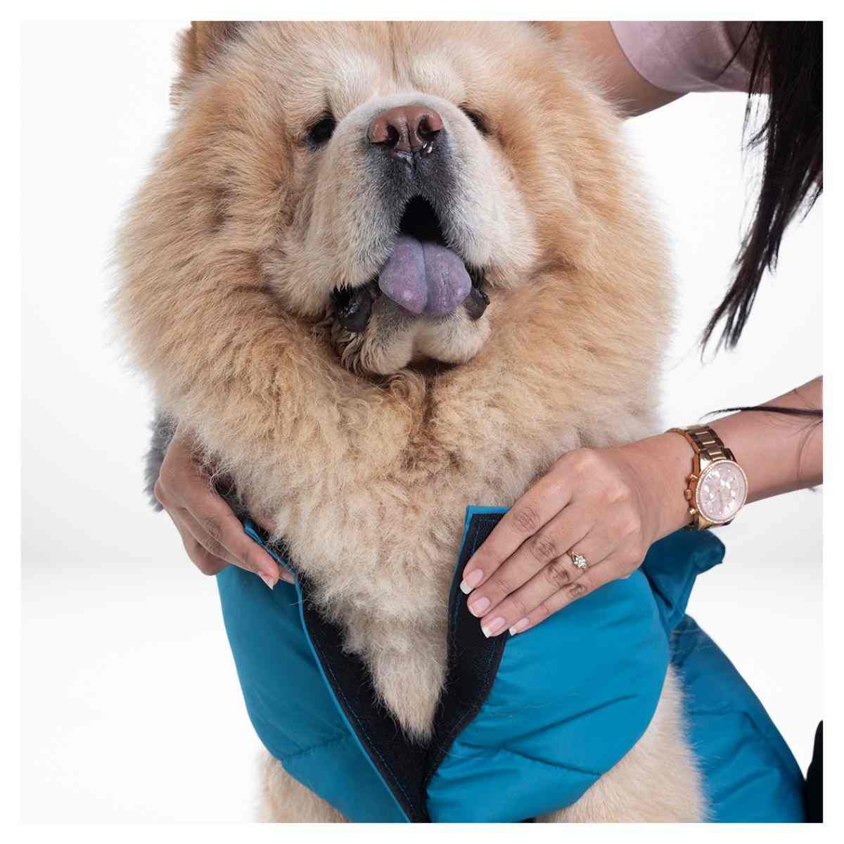 Ezra Fur Winter Jacket for Dogs, Cozy, Ultra Warm, and Water Resistant with Velcro Closure (Red)