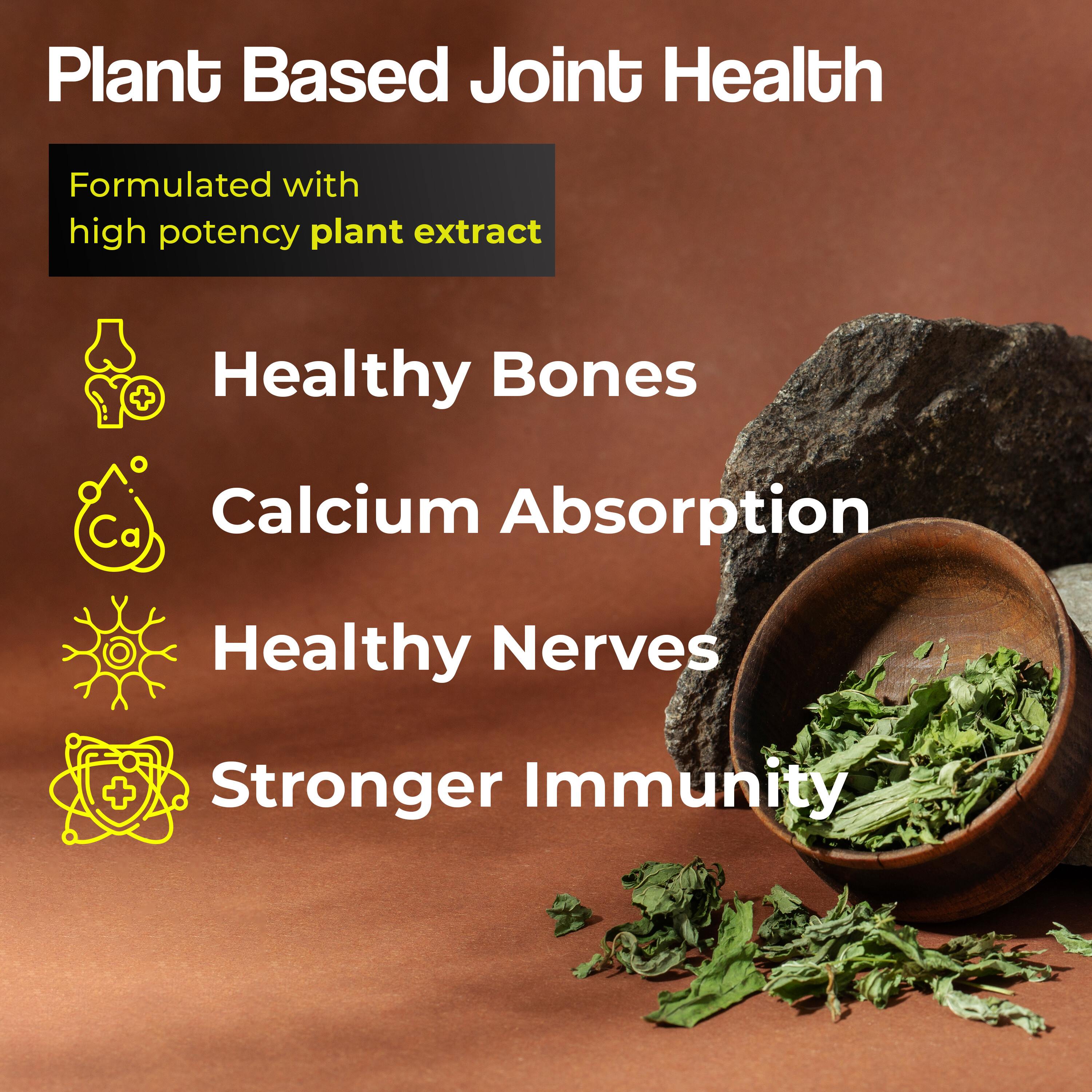 Health Veda Organics | Calcium, Magnesium, Zinc with Vitamin D3 & B12 | 60 Veg Tab