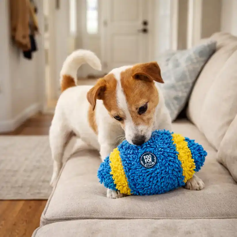 Fofos Sports Rugby Dog Toy