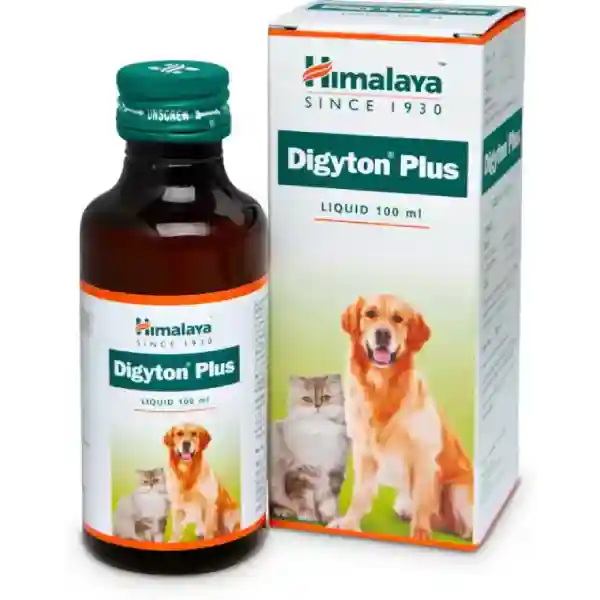 Himalaya Digyton Plus Liquid - 100 ml