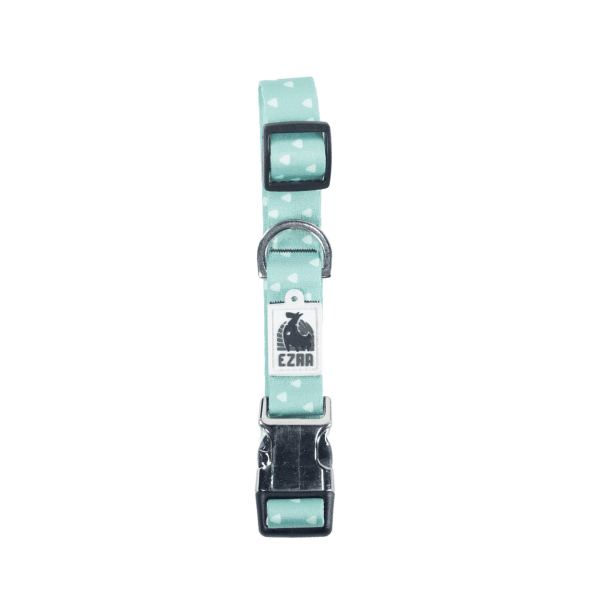 Ezra Digital Print Dog Collar - Assorted