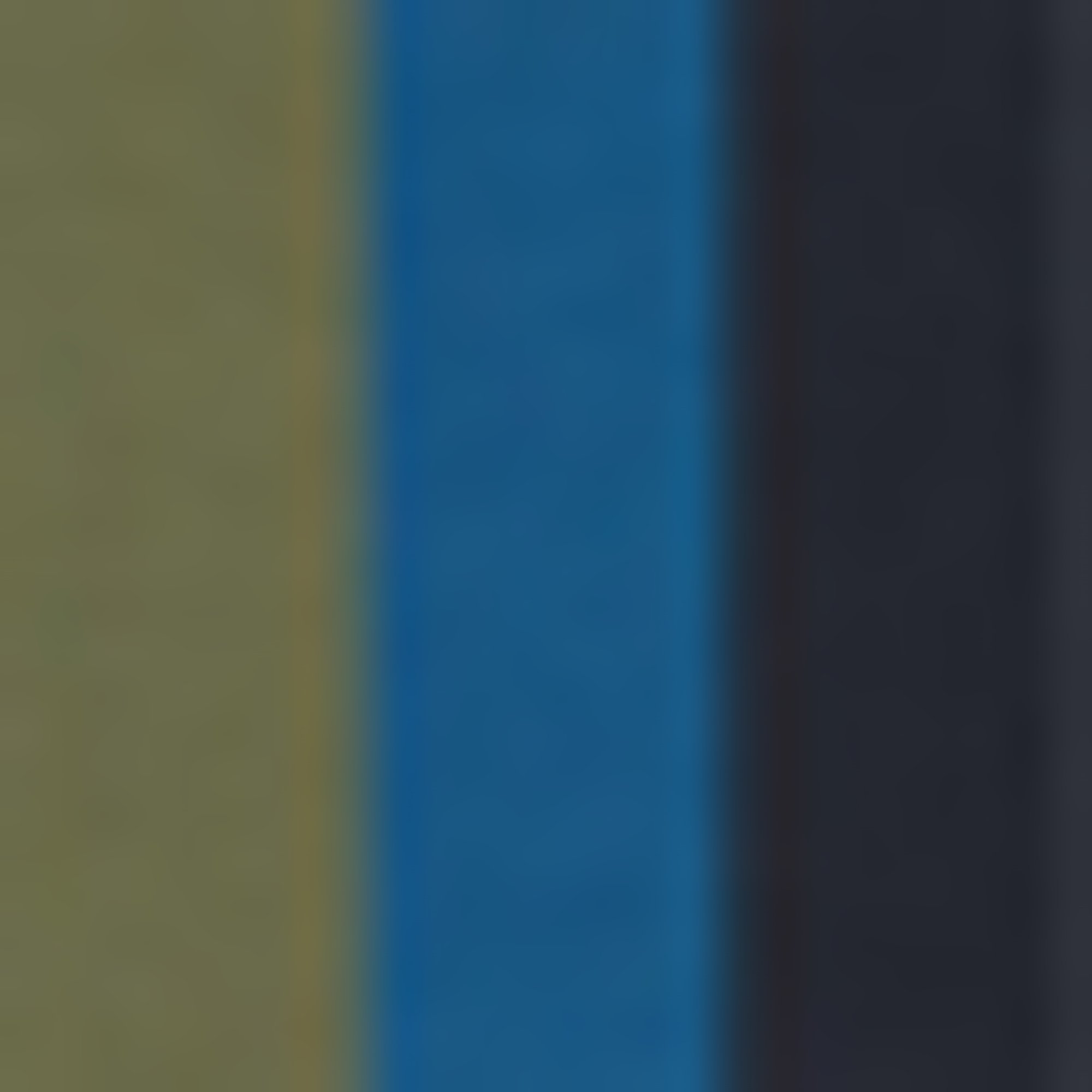 primary color