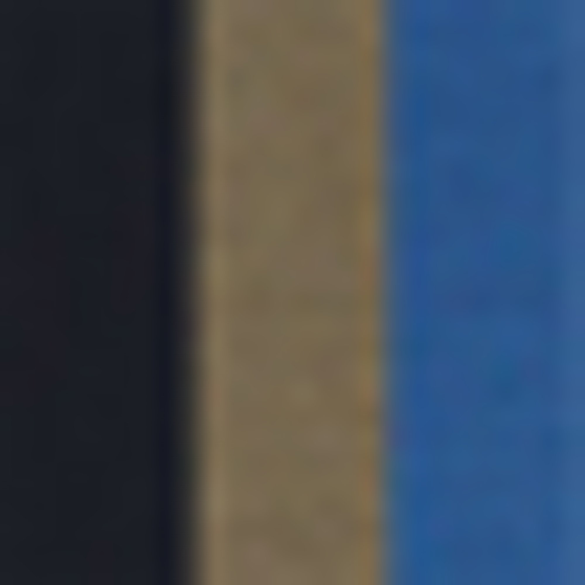 primary color