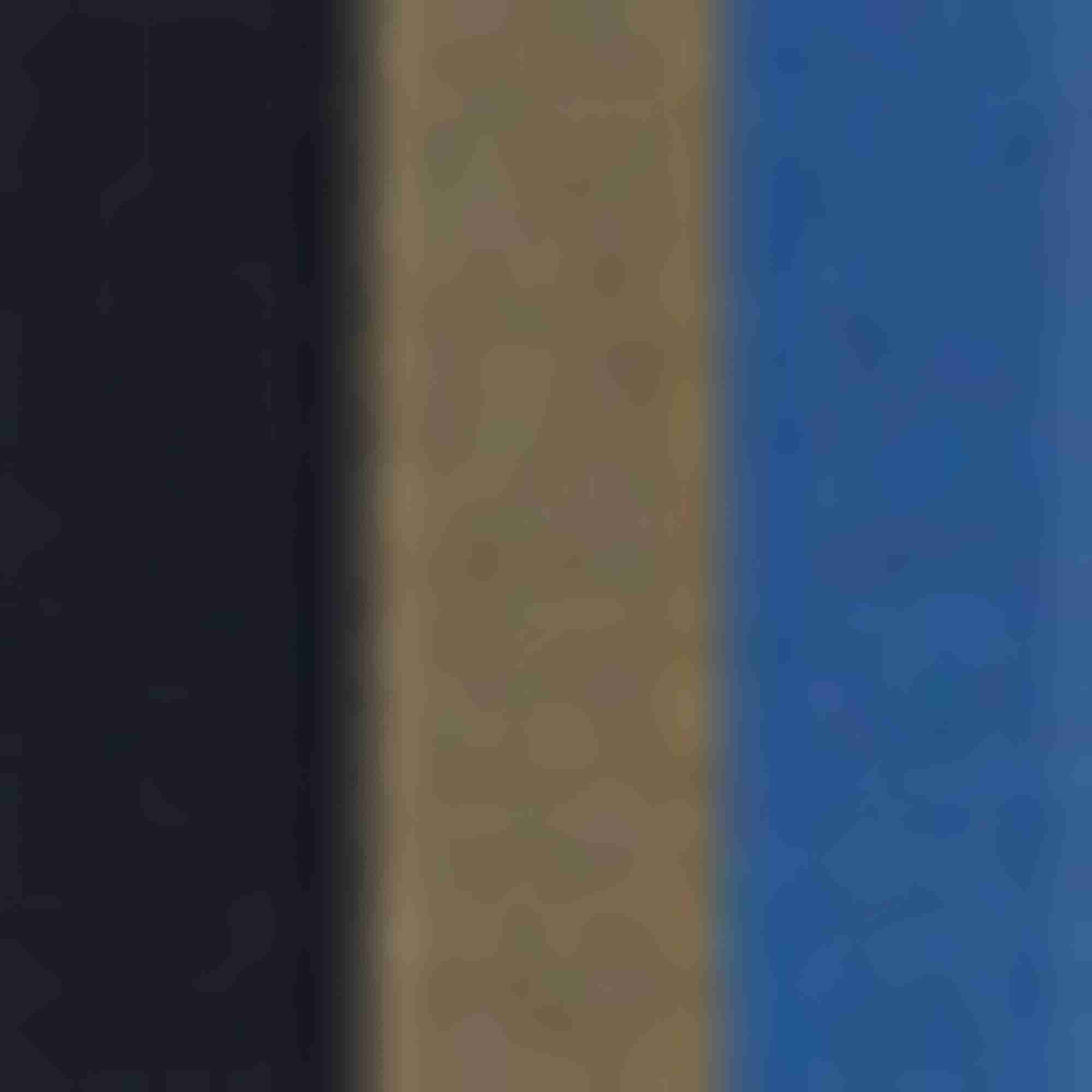 primary color