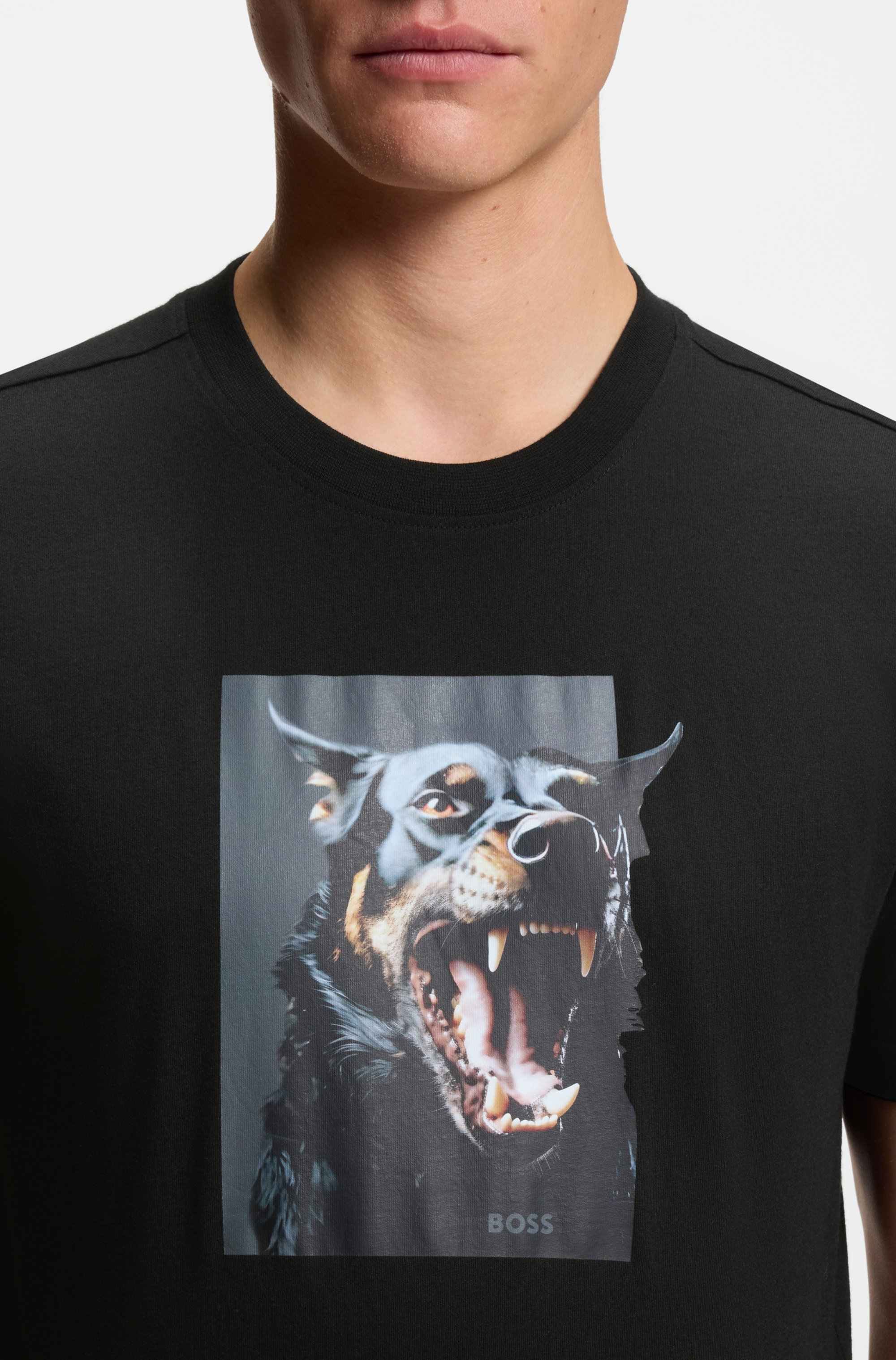 Cotton-jersey T-shirt with animal artwork