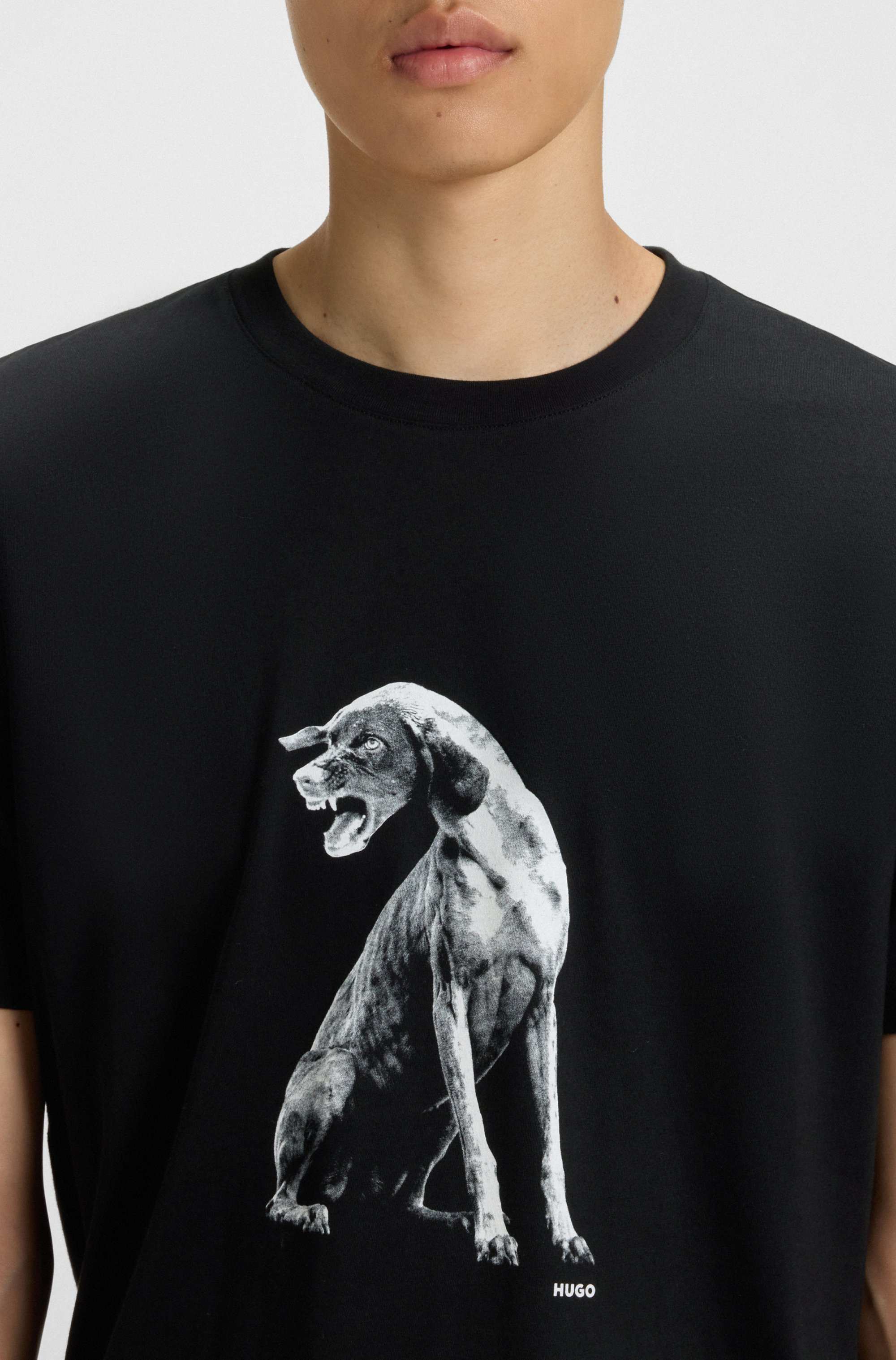 Cotton-jersey T-shirt with dog artwork