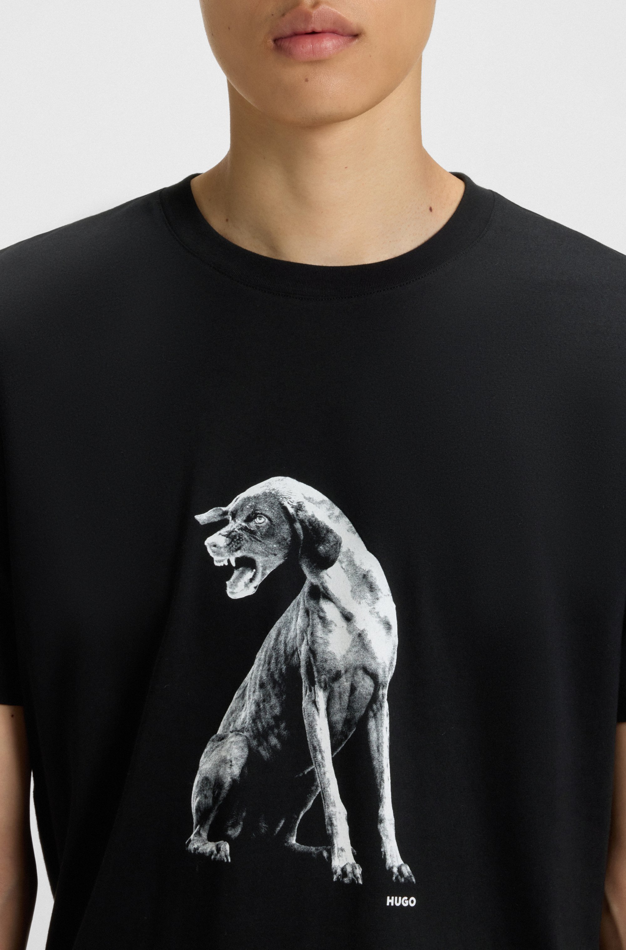 Cotton-jersey T-shirt with dog artwork