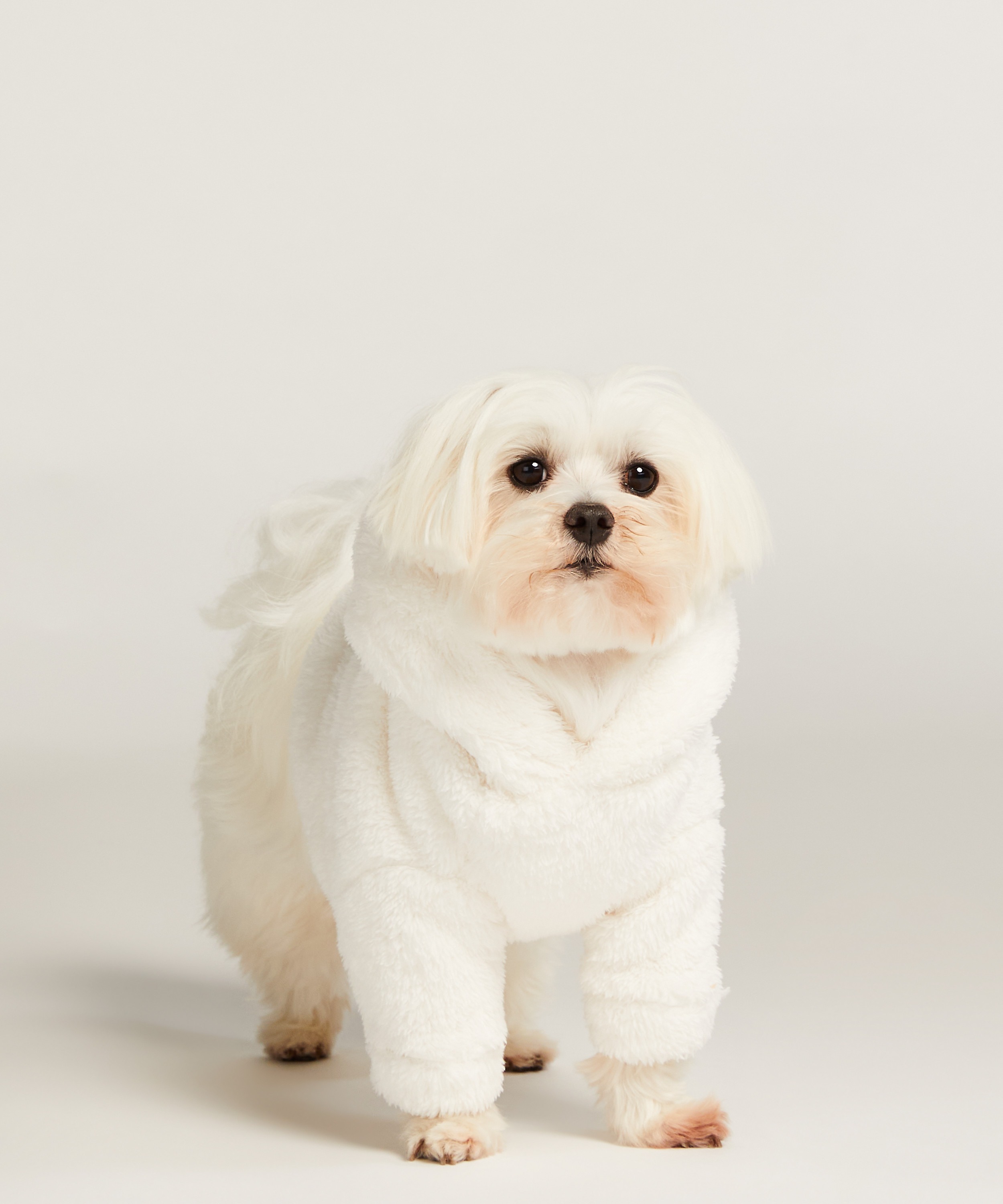 Onesie Pet Fluffy Fleece