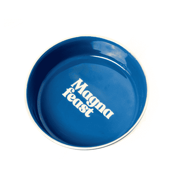 Magna Feast Pet Feeding Bowl