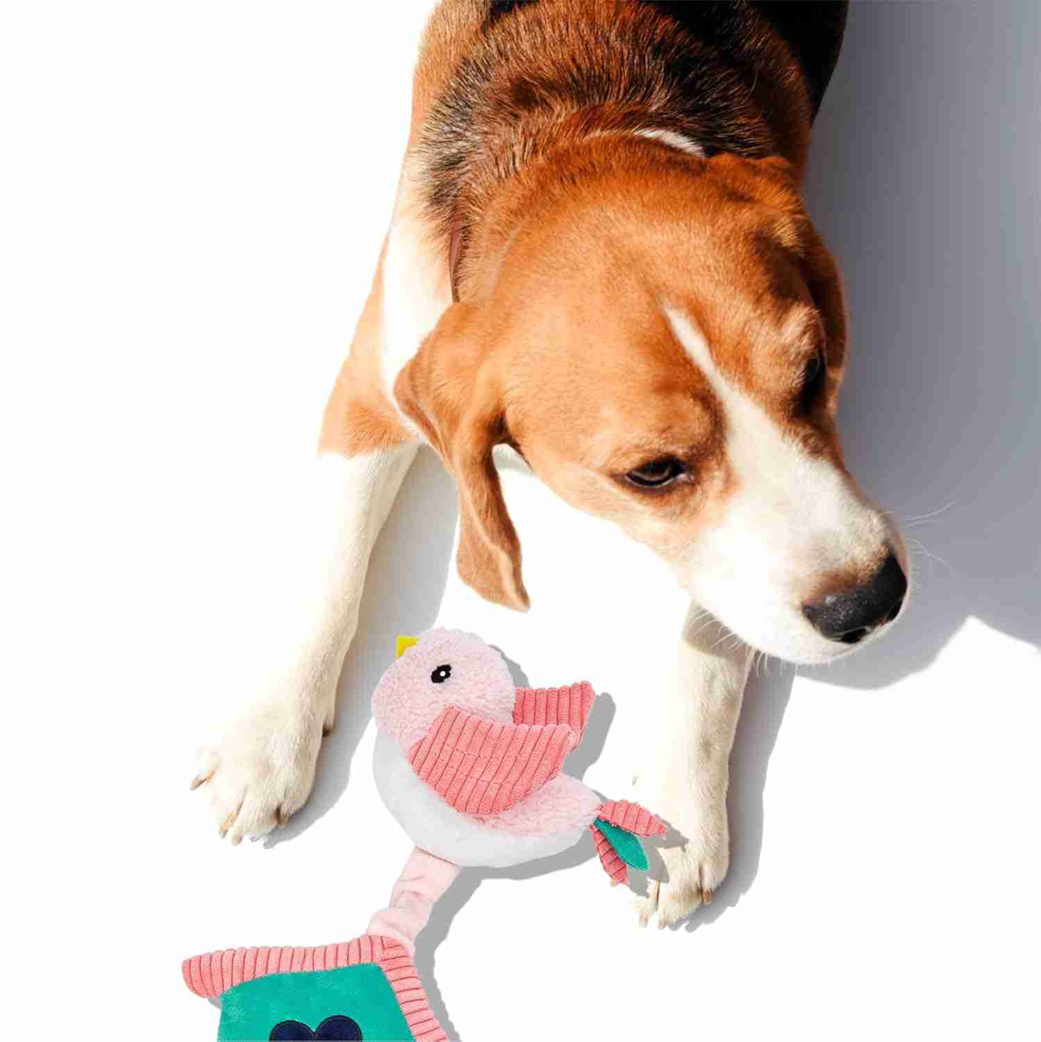 Barkbutler Fofos Garden Bird House