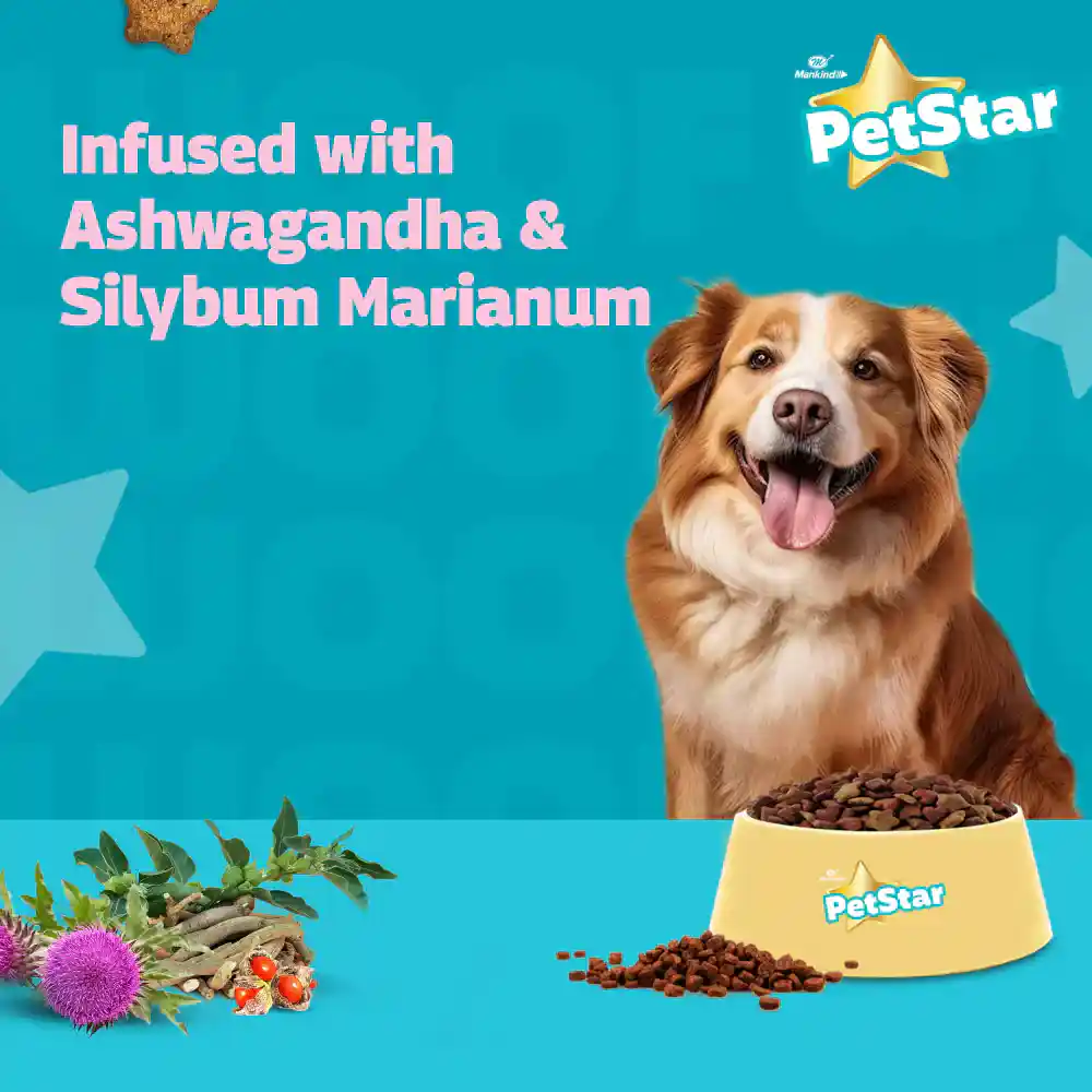 Petstar Chicken and Wheat Adult Dog Dry Food