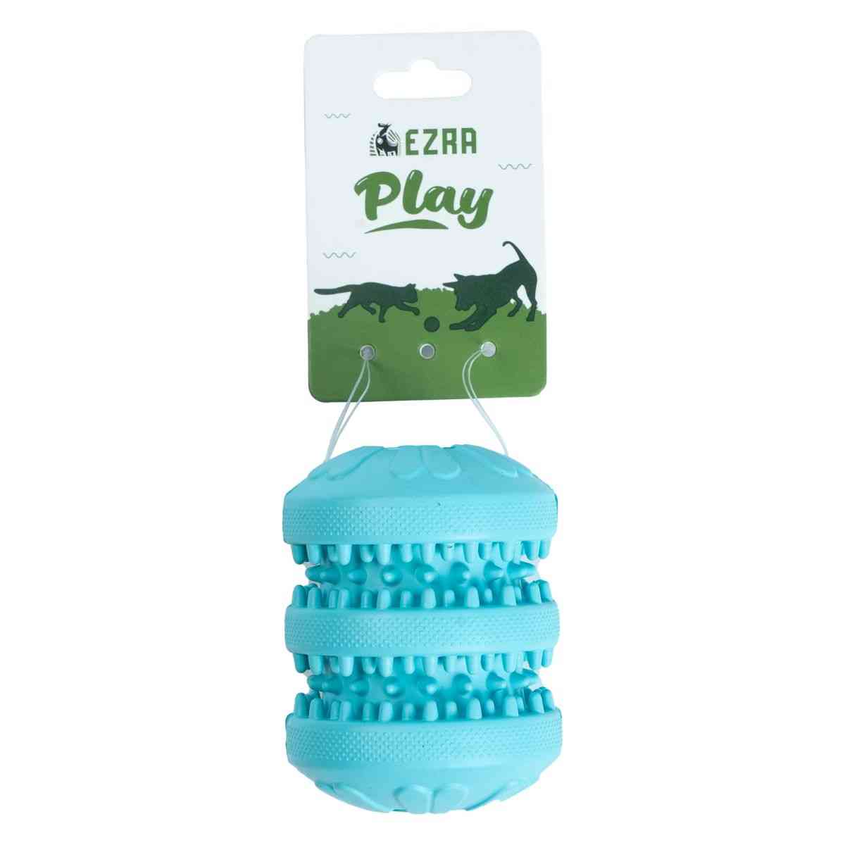Ezra Play Treat Cylinder - Blue Rubber Toy