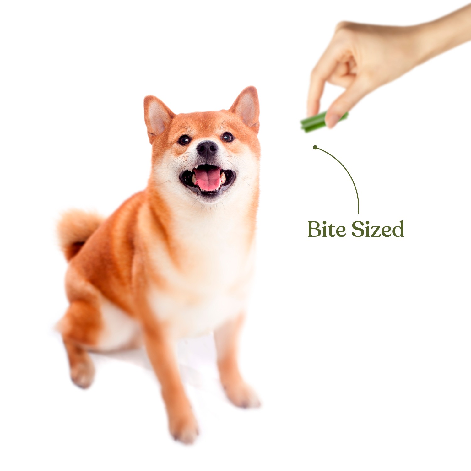 Snackers Grain Free Seaweed Sticks Dog Treats, 200g
