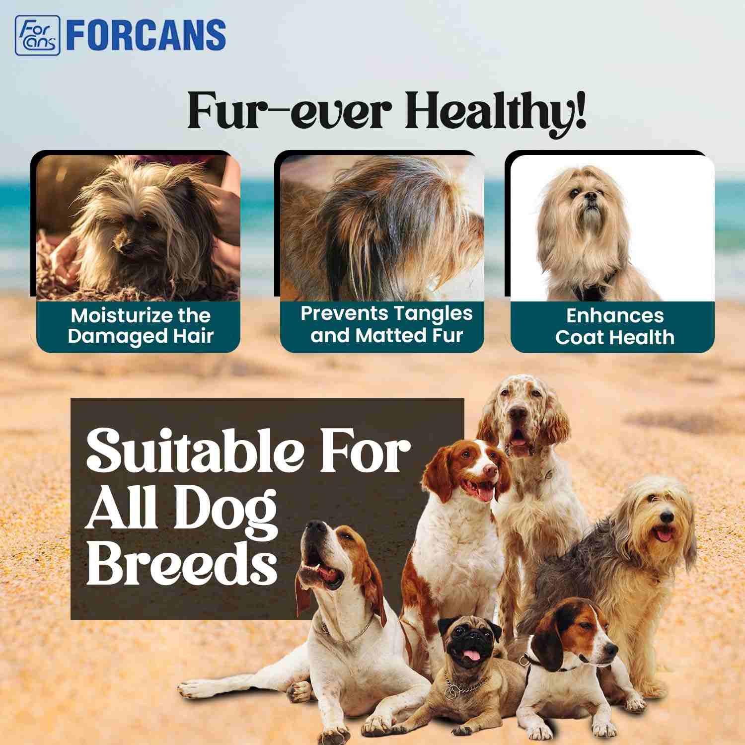 Forcans Aloe Long Coat Shampoo for Dogs