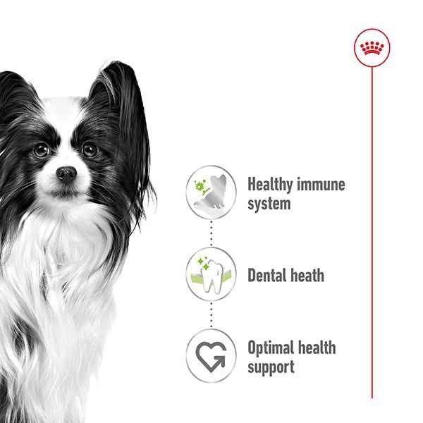 Royal Canin SHN X- Small Adult 1.5 Kg – (Best Before Jun’26)