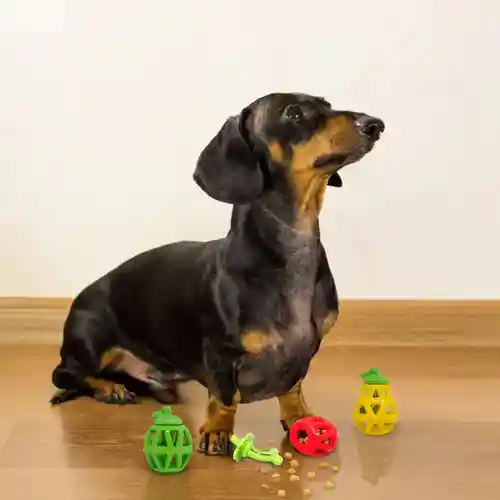 Barkbutler Fofos Fruity Bites Treat Dispensing Pear for Dogs