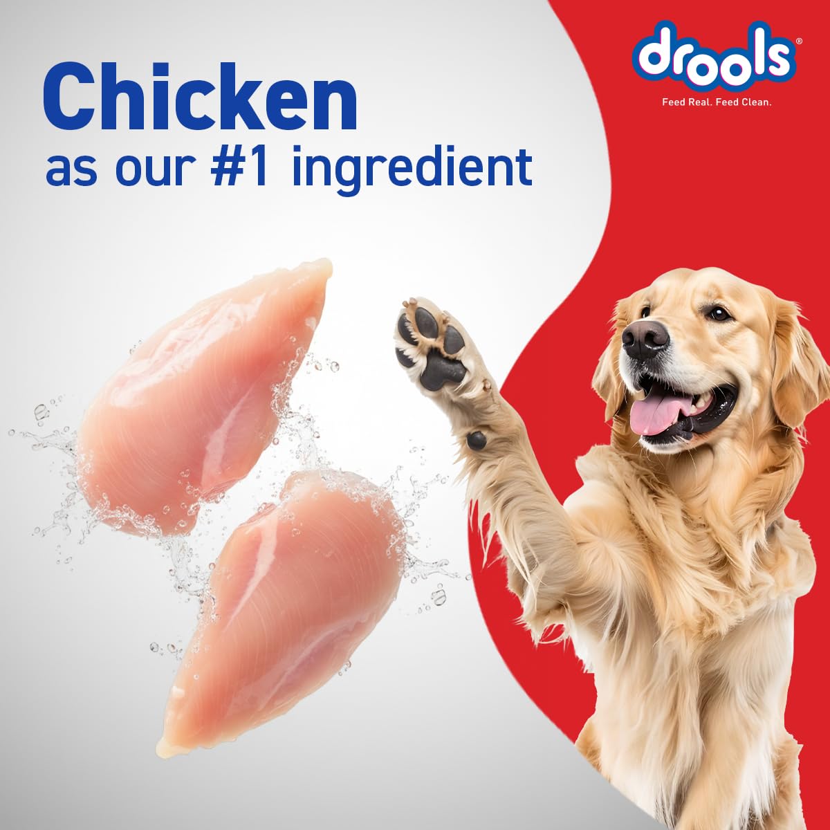 Drools Chicken & Egg Adult Dog Dry Food