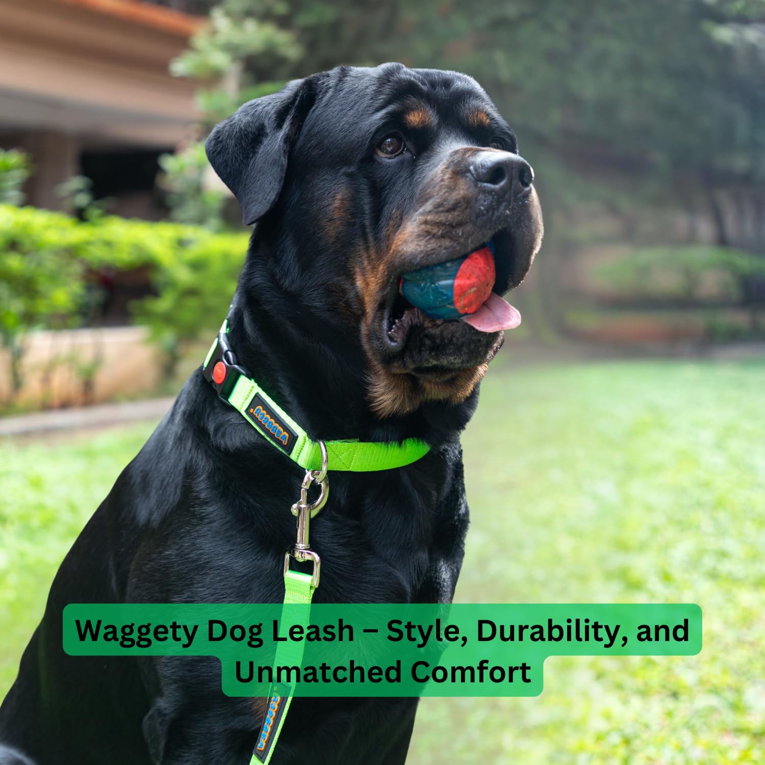 Waggety Dog Leash, Green