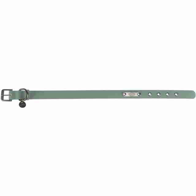 Trixie City Style PVC Collar PVC for Dogs, Sage