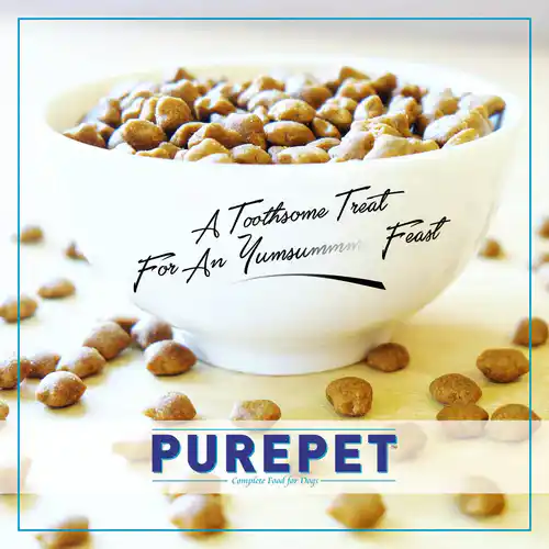 Purepet Ocean Fish Kitten Dry Food