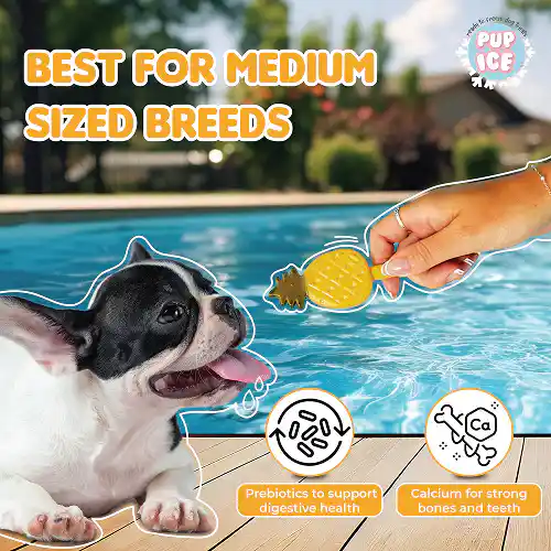 Imaginelles Pup Ice Fruity Ice-cream Stick Pineapples, Dog Treats - 3 Pieces