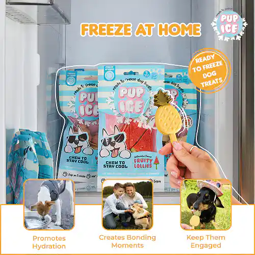 Imaginelles Pup Ice Fruity Ice-cream Stick Pineapples, Dog Treats - 3 Pieces