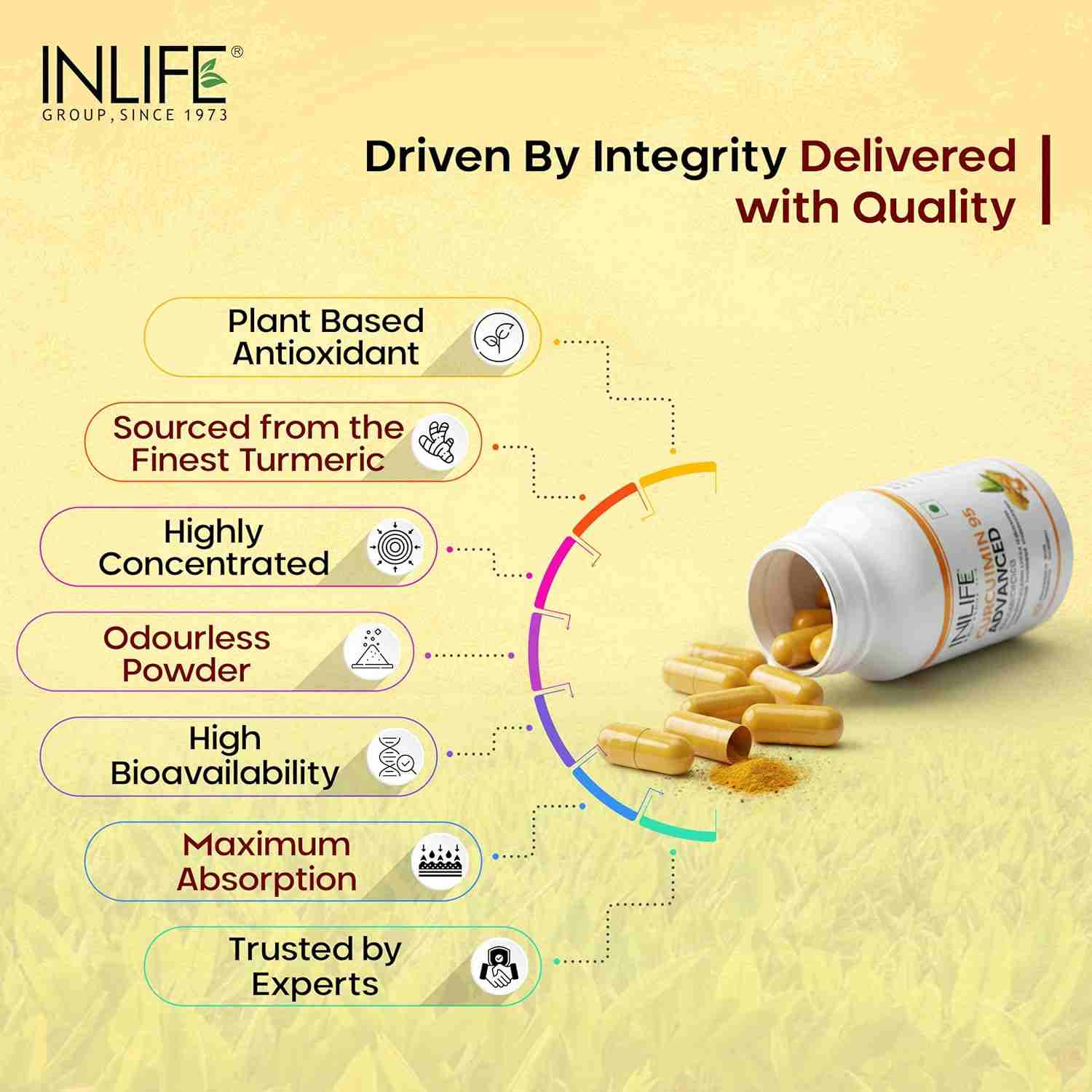 Inlife | Curcumin C3 Complex (95% Curcuminoids) 500 mg Turmeric with BioPerine (Piperine) Extract Supplement 5 mg | 60 Cap