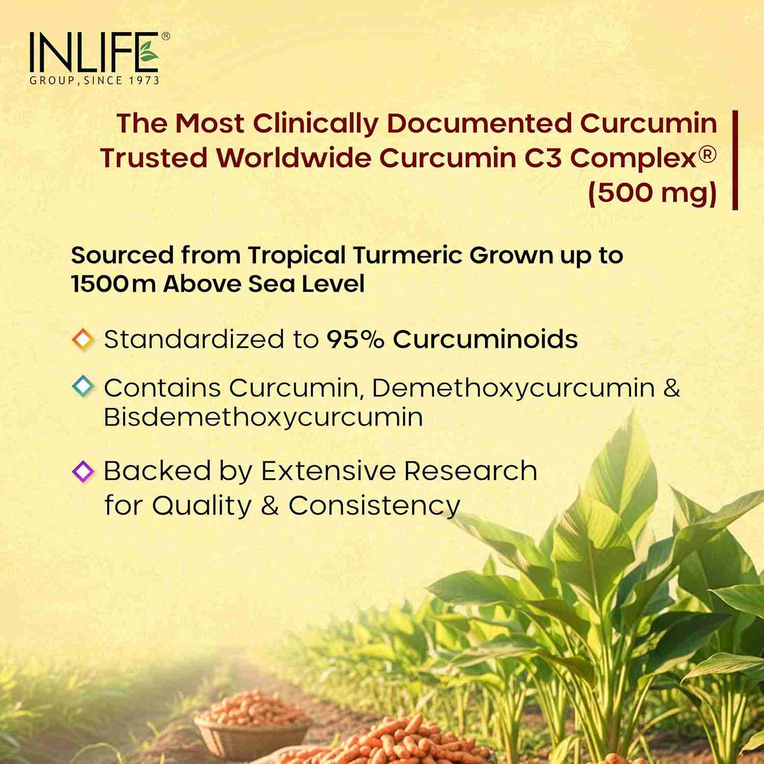 Inlife | Curcumin C3 Complex (95% Curcuminoids) 500 mg Turmeric with BioPerine (Piperine) Extract Supplement 5 mg | 60 Cap