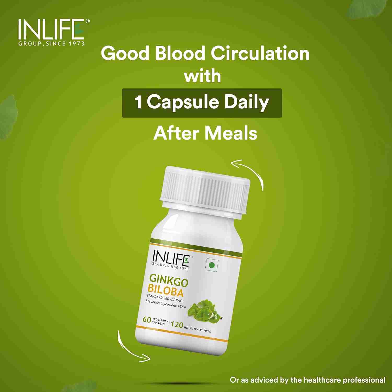 Inlife | Ginkgo Biloba Extract Capsules 120mg | Herbal Supplement | Memory Support | 60 Veg Cap