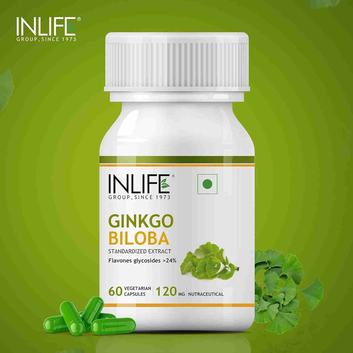 Inlife | Ginkgo Biloba Extract Capsules 120mg | Herbal Supplement | Memory Support | 60 Veg Cap